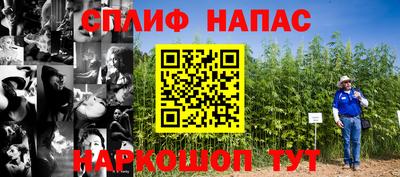 молекула духа Владикавказ