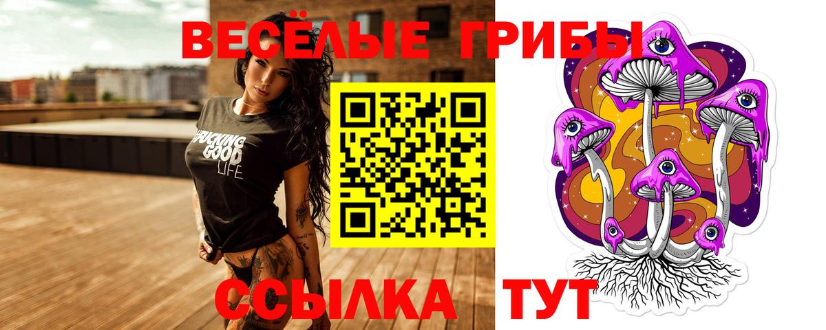 Галлюциногенные грибы ЛСД Богородск
