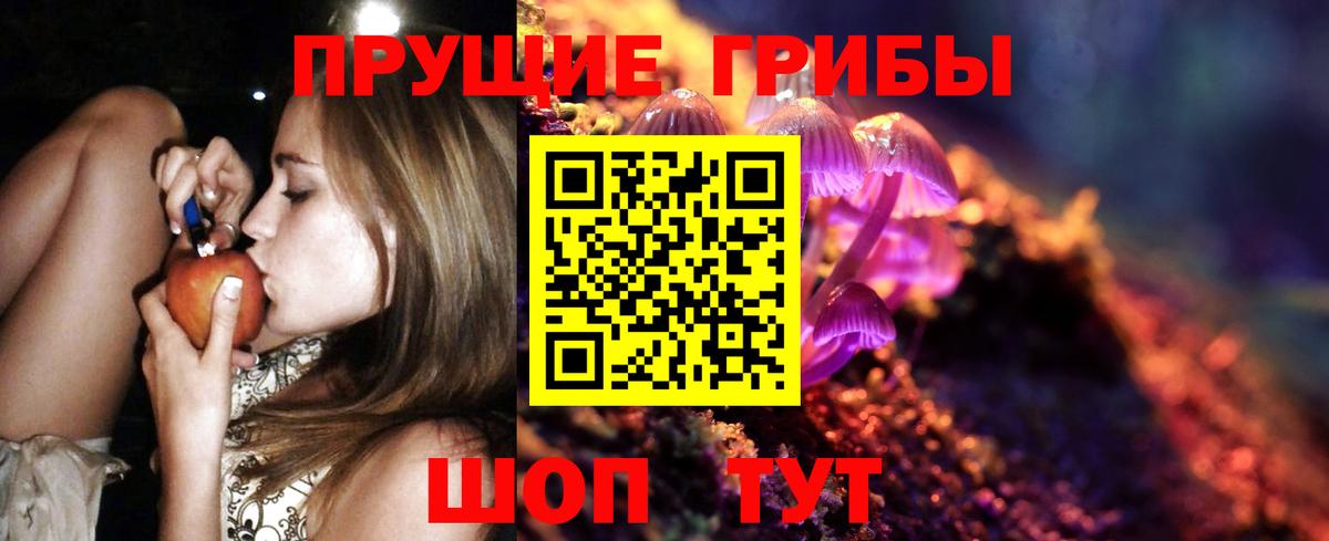 Псилоцибиновые грибы Psilocybe  Псилоцибиновые грибы ЛСД  где купить наркоту  Вход с VPN  Богородск 