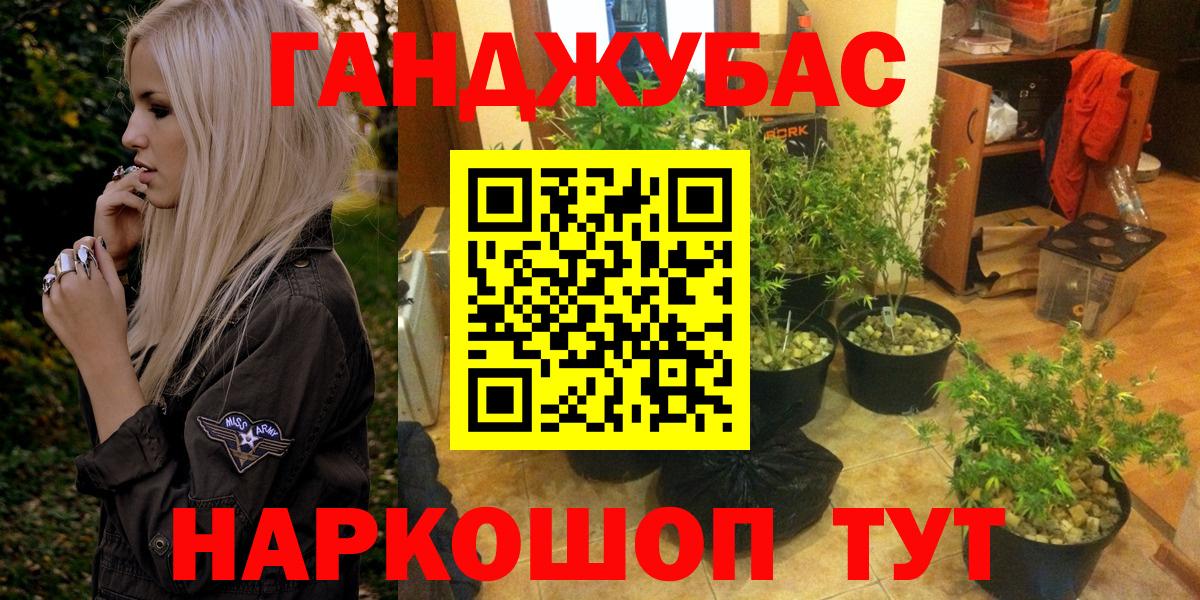 Бошки марихуана гибрид  Конопля Bruce Banner  Богородск  Вход с VPN 